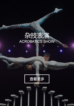 雜技表演