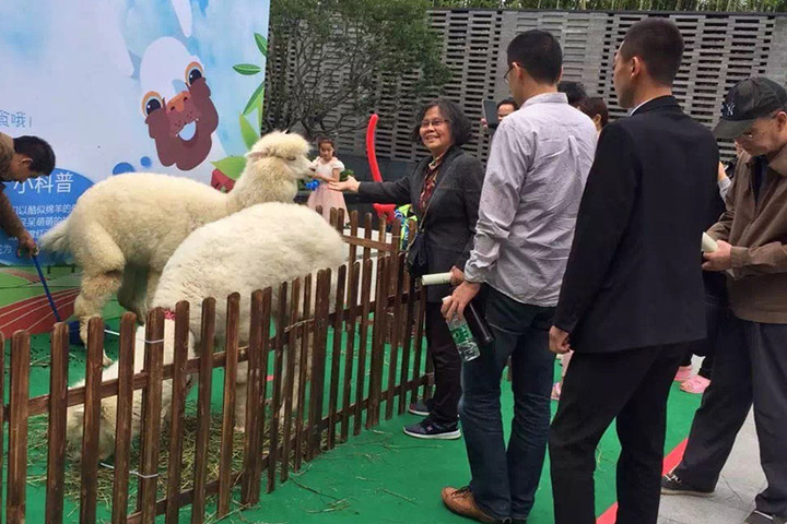 萌寵動物