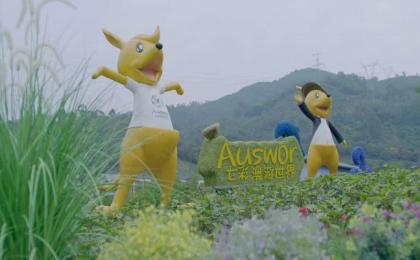 廣州七彩澳游袋鼠樂園