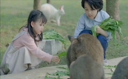 萌寵樂園